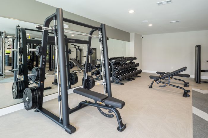 Modern home gym with sleek exercise equipment, including weight racks and a multipurpose bench, perfect for a comprehensive workout.