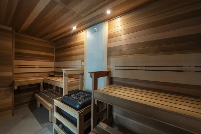 Inviting sauna room with elegant wooden benches and a modern heater, perfect for relaxation.