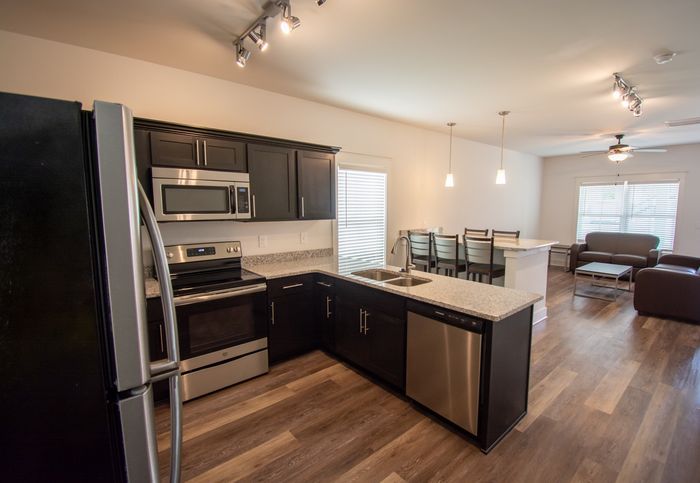 Kitchen and Living Area