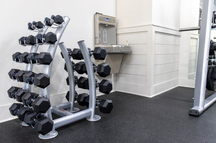 Western Gym Dumbells