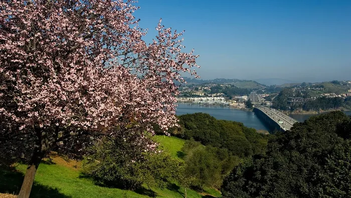 Ocean View | Summit at Sausalito | Luxury Apartments at Sausalito