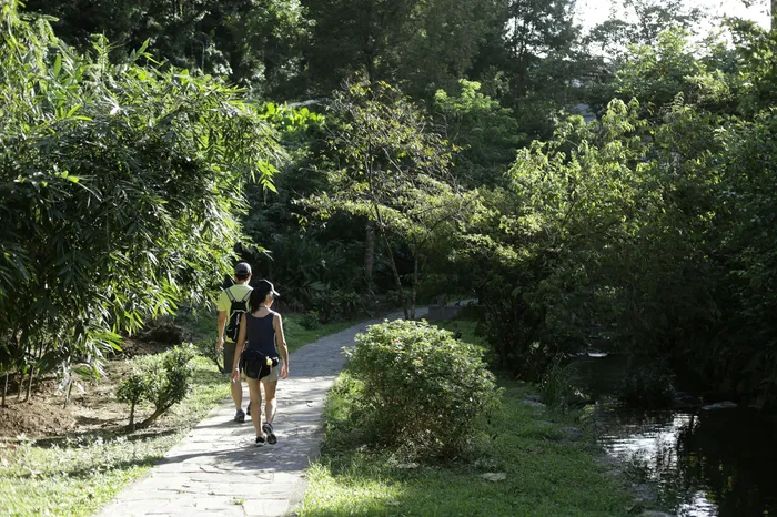 Serene pathway in lush greenery with two people walking in peaceful nature.
