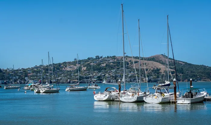 Charming waterfront view with beautiful sailboats anchored in a serene bay, surrounded by lush green hills under a bright blue sky.