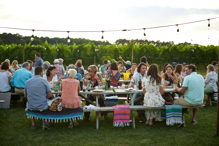 Vibrant outdoor picnic gathering with people enjoying food and drinks at tables, surrounded by lush greenery and string lights.