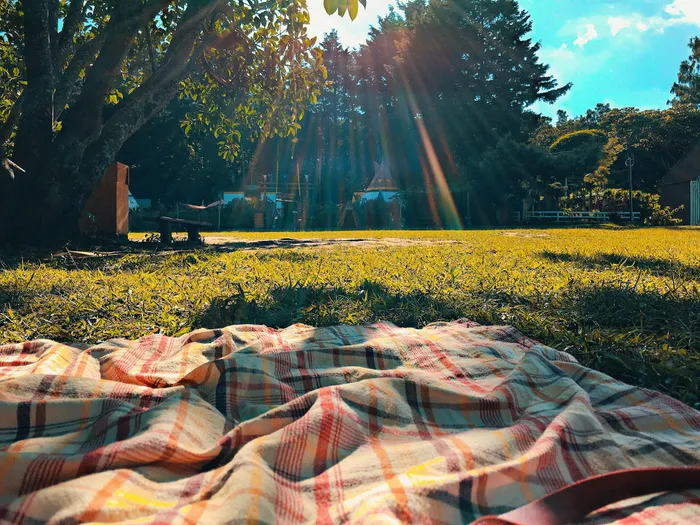 Charming picnic scene under a large tree, featuring a plaid blanket on lush green grass with sunrays streaming through the branches, creating a tranquil and inviting atmosphere.