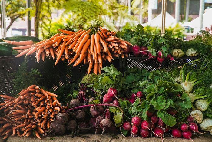 Vibrant farmer's market display with fresh carrots, radishes, and greens bursting with color and freshness.