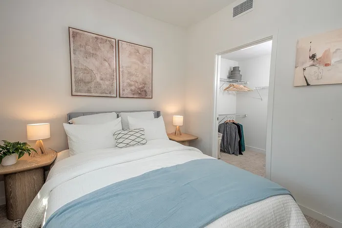 Cozy bedroom with plush bedding, elegant decor, and expansive walk-in closet.