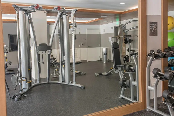 Modern apartment fitness center featuring state-of-the-art gym equipment, including weight machines and free weights, in a bright and inviting space.