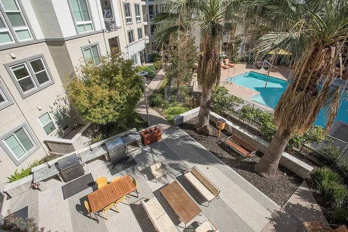 Modern apartment complex featuring a stylish outdoor patio with dining area and grill, lush landscaping, and a sparkling swimming pool surrounded by palm trees.