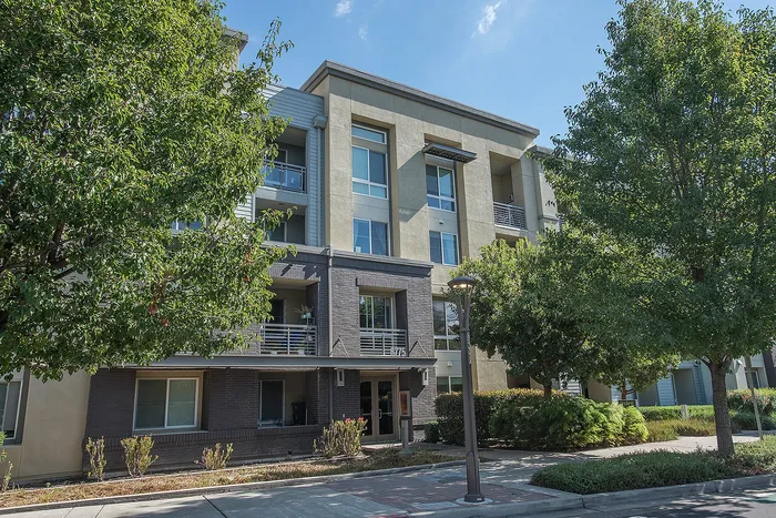 Modern apartment building exterior with lush green trees and inviting balconies under a clear blue sky.