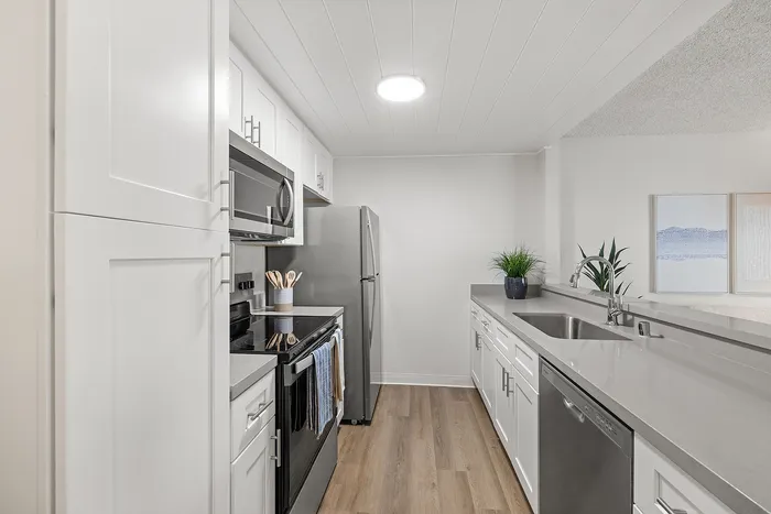 Chic modern kitchen with sleek stainless steel appliances, white cabinetry, and elegant countertops creating a bright, inviting space.