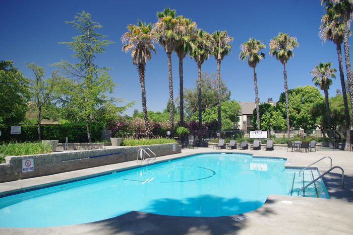 Twin Creeks swimming pool surrounded by tall palm trees, lounge chairs, and a shaded seating area.