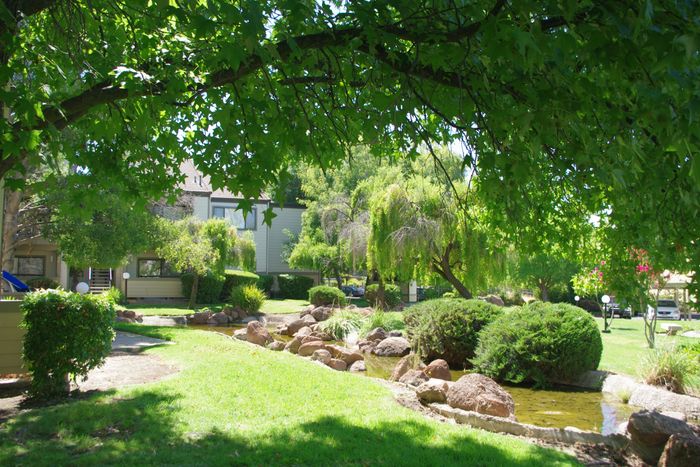 Twin Creeks landscaped grounds with a gentle stream winding through rocks, shaded by mature trees and lush greenery.