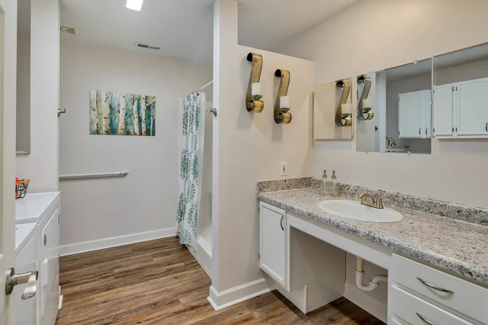Apartment Bathroom Interior Leisure Living