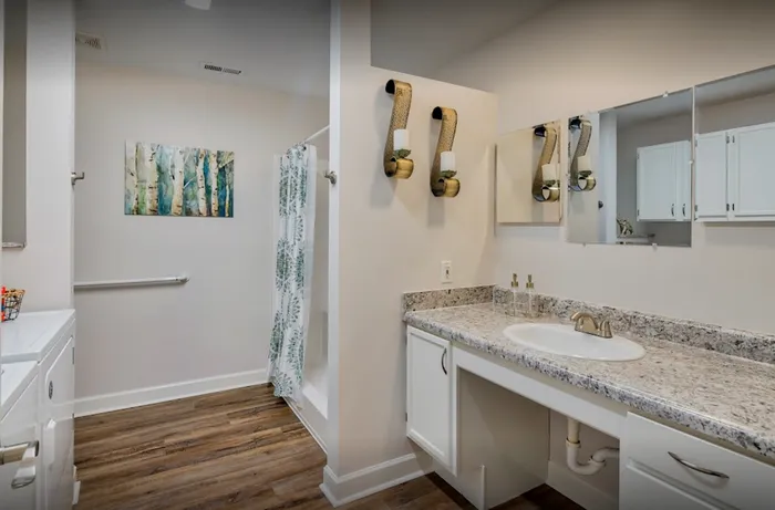 Apartment Bathroom Liv Locust Creek