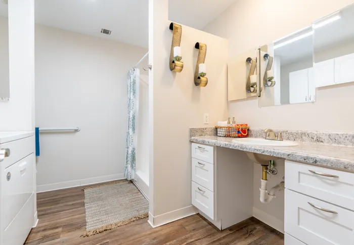Liv At Locust Creek Bathroom Interior