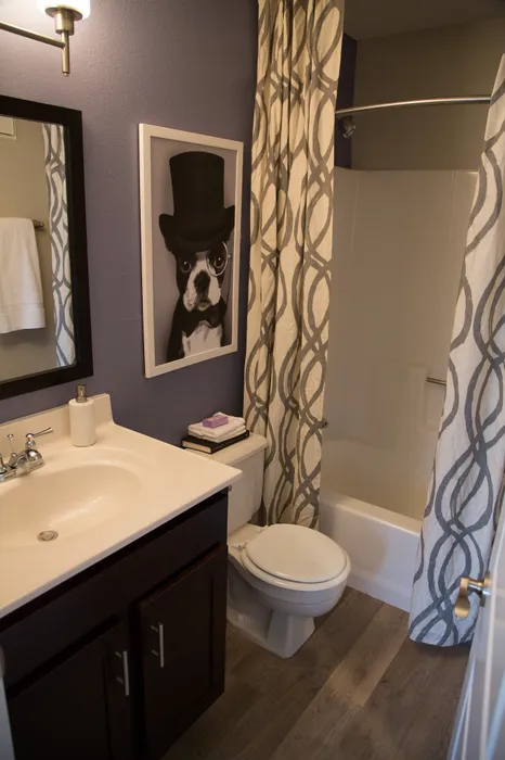 Apartment Bathroom at Metro On 5th