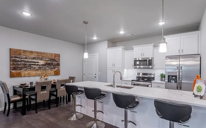 Modern Kitchen with Stainless Steel Appliances