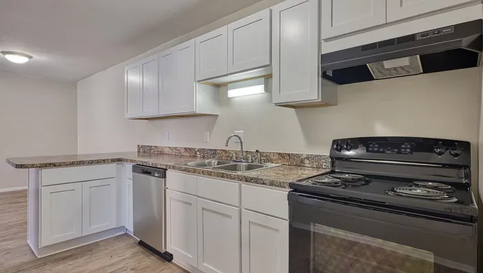 Kitchen Interior Space At Green Tree Apartment