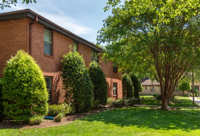 Property Exterior Area At Green Tree Apartment