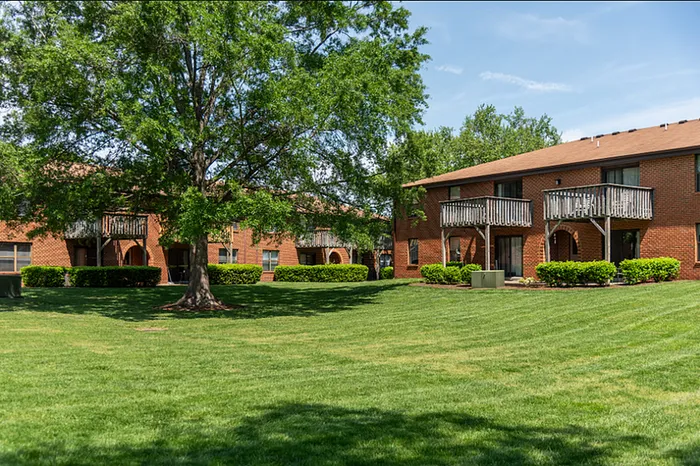 Outdoor Green Space At Green Tree Apartment