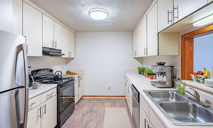 Emerald Lake Apartment Kitchen Area