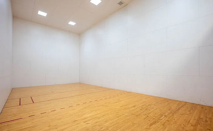 Pickleball Court at Scandia Apartments