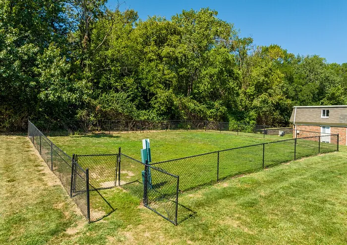 Dog Park