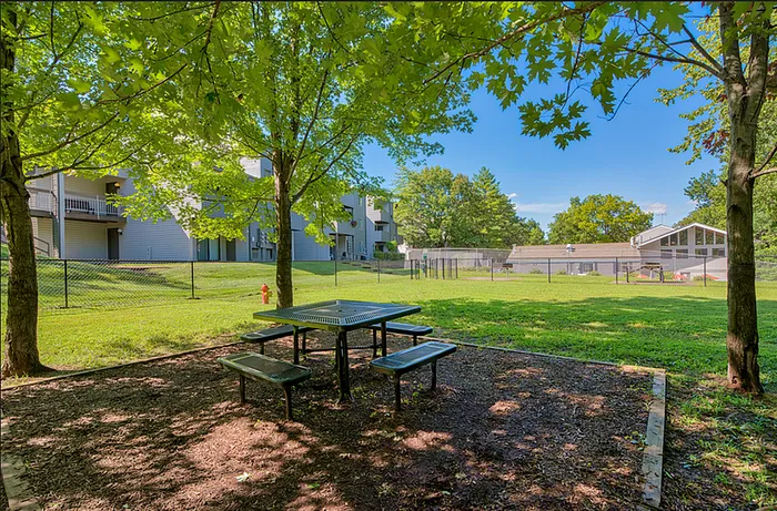 Dog Park