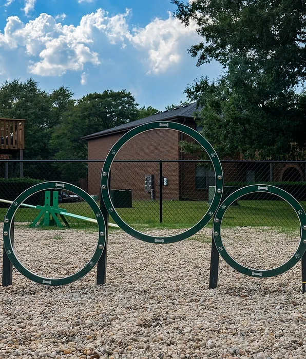 Agility Dog Park