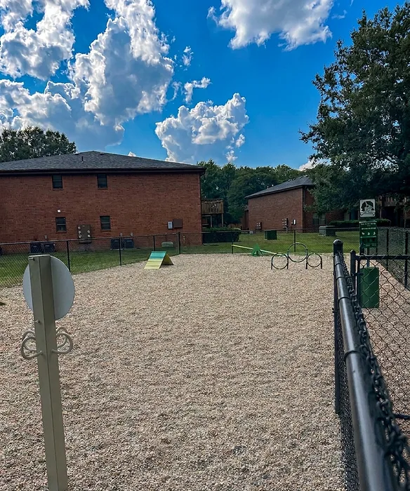 Dog Park