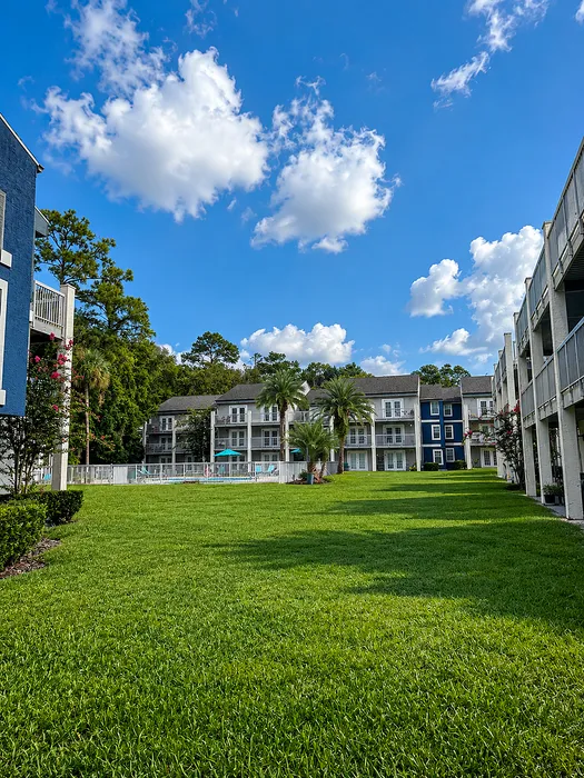Pool and Green Space