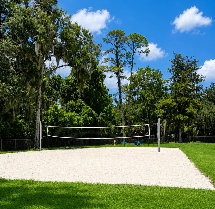 Sand Volleyball