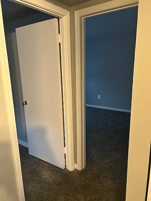Inviting hallway leading to carpeted rooms with elegant white doors.