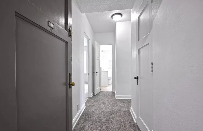 Charming apartment entrance showcasing a bright hallway with modern fixtures and plush carpeting.