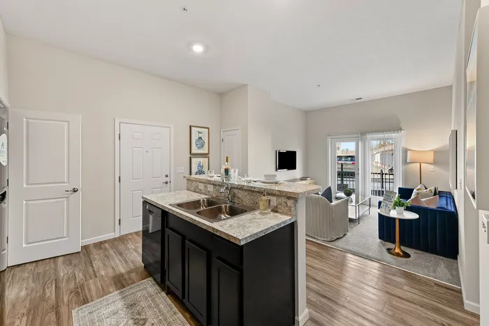 Modern open-concept apartment with elegant kitchen and cozy living area, featuring stylish decor and inviting natural light.
