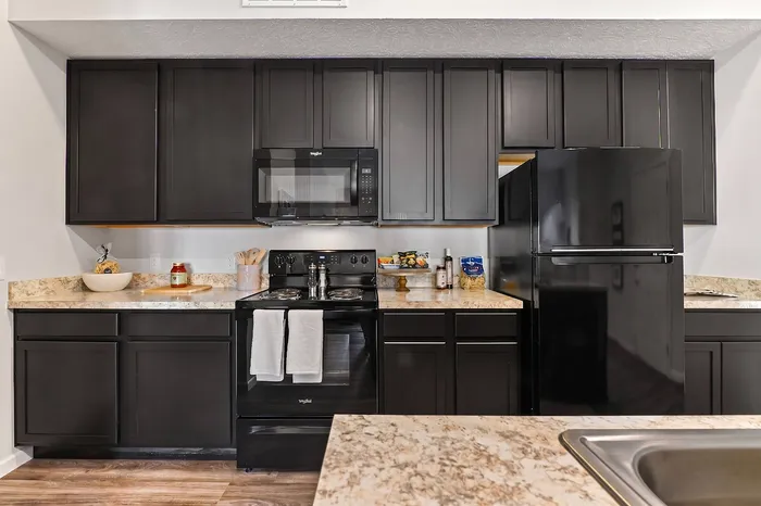 Sleek modern kitchen featuring dark cabinetry, granite countertops, and stainless steel appliances, perfect for culinary enthusiasts.