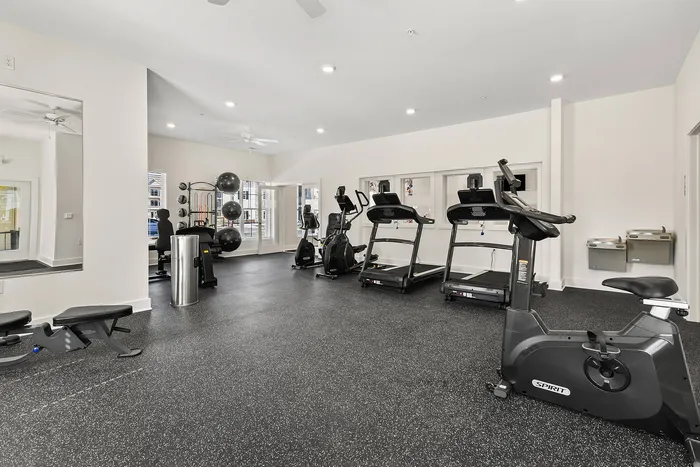 Modern and spacious gym with state-of-the-art equipment, including treadmills, exercise bike, and yoga balls, set in a bright and inviting environment.