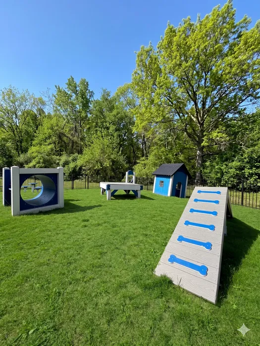 Charming pet-friendly playground featuring vibrant agility structures and lush green grass, perfect for outdoor fun.