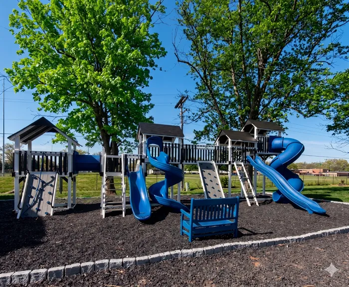 Inviting playground with blue slides and climbing structures set against lush green trees, perfect for family enjoyment.