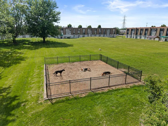 Expansive dog park with lush green surroundings and modern fenced area, perfect for outdoor fun.
