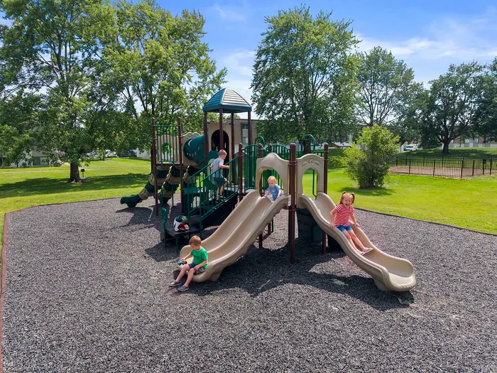 Inviting playground surrounded by lush greenery, featuring slides and climbing structures for endless fun.