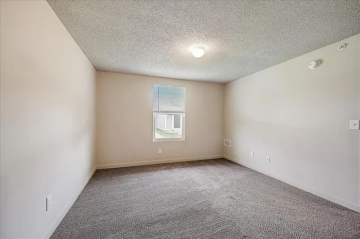 Bright and spacious bedroom with plush carpet and natural light from a large window, perfect for a cozy retreat.