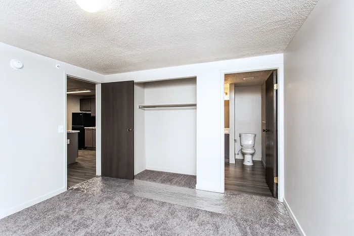 Spacious bedroom featuring soft carpet, built-in closet, and en-suite bathroom with wooden accents.
