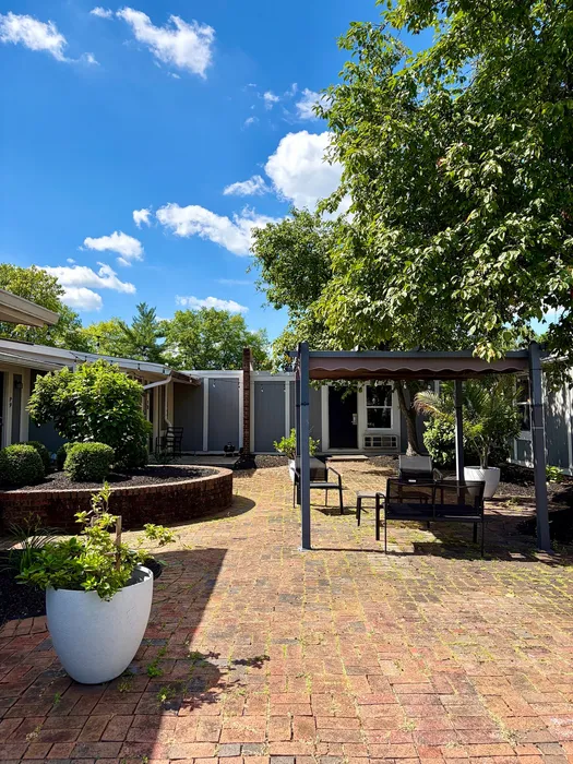 Charming outdoor patio with cozy seating, lush greenery, and a clear blue sky.