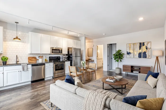 Contemporary open-concept living space with sleek kitchen, plush seating area, and stylish decor.