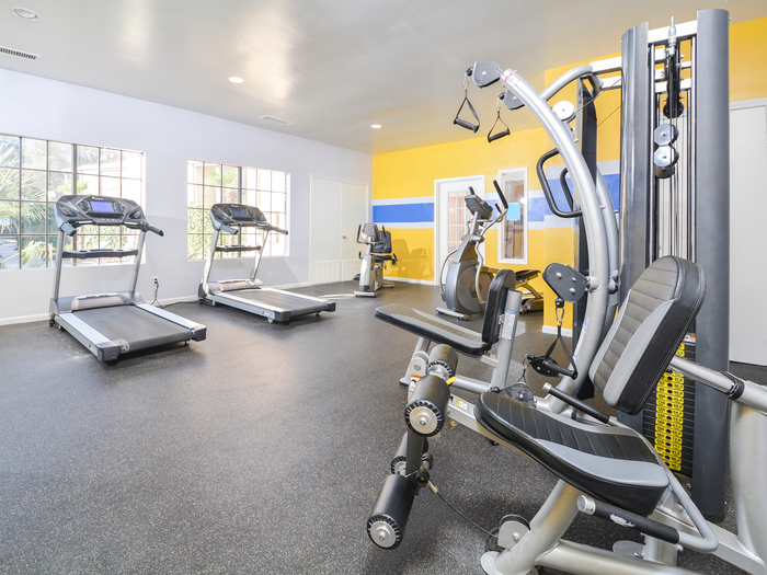 Fitness and Wellness Center
