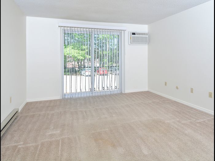 Living Area | Sliding Glass Door | Patriots Park Apartments