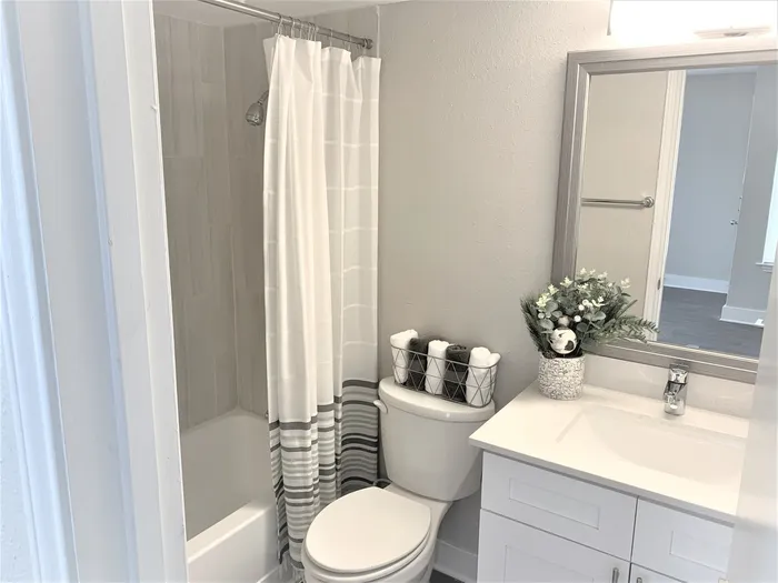 Designer Bathroom