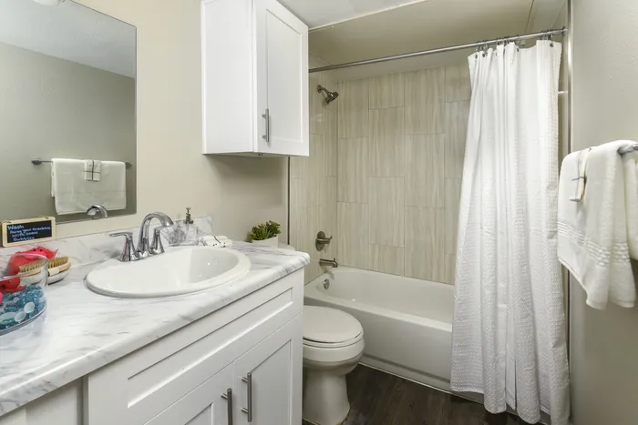 Bathroom | Large White Vanity | Plank Flooring